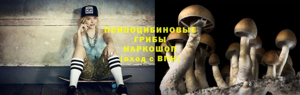 jwh Алзамай