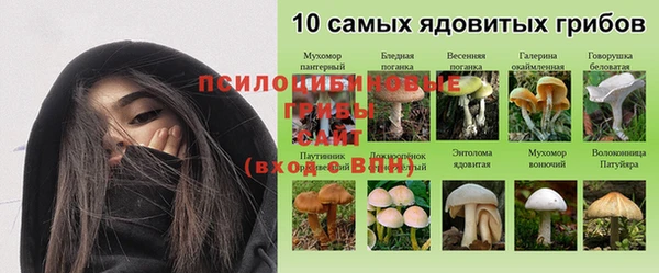 jwh Алексеевка