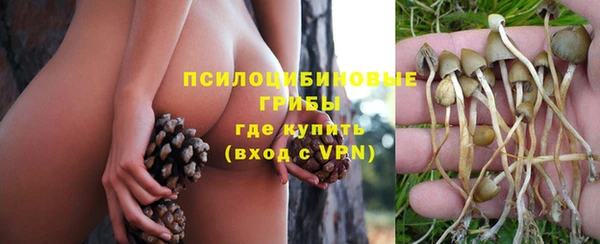 гидропоника Алексин